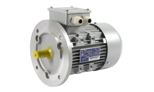 Silnik motoreduktora 0,55kW.jpg