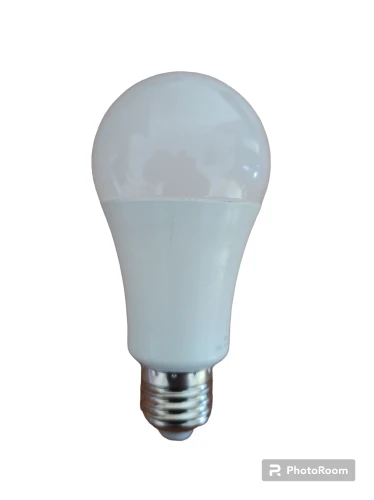 PhotoRoom-20231011_094234.png